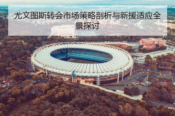 尤文图斯转会市场策略剖析与新援适应全景探讨